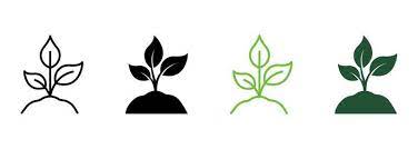 Plant Growth Icon Vector Art Icons