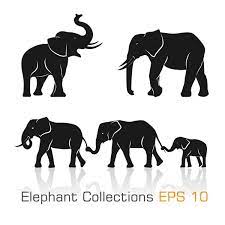 Elephant Silhouette Vector Images