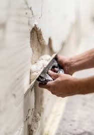 Horsehair Plaster Repair Maintenance
