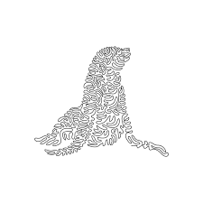 Curly Line Drawing Of Adorable Sea Lion