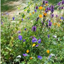 18 Lush Garden Border Ideas For