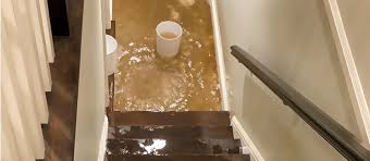 My Basement Just Flooded Now What
