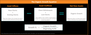 Organic Growth Equation