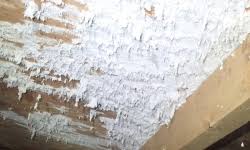 how to remove mold from wood our guide