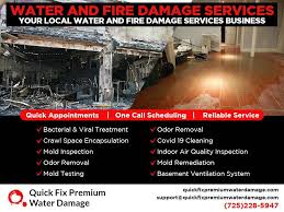 Fast Reliable Restoration Services