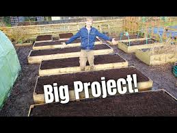 Big Improvements At The Allotment In