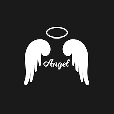 White Angel Wings Icon With Nimbus