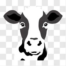 White Cow Head Image Png