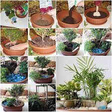 Mini Garden In A Pot