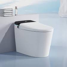 Polibi One Piece Luxury Smart Toilet 1