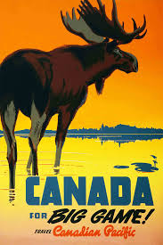 Riding Wild Moose Animal Canada Game