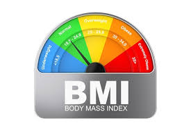 Bmi Or Mass Index Scale Meter Dial