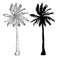 Vector Palm Tree Silhouette Icons On