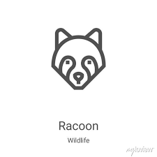 Racoon Icon Vector From Wildlife