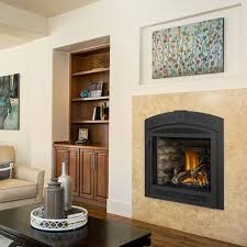 Black Hills Fireplace Fireplace