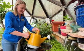 Greenhouse Gardening Watering Best