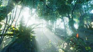 misty rainforest and bright sun beams