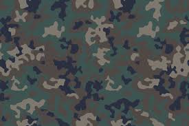 Green Army Camo Images Browse 36 399