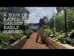 Raised Bed Vegetable Garden In June