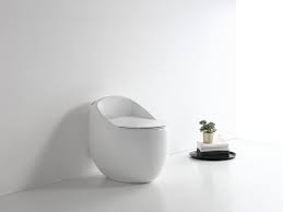 A Modern Toilet Bowl In Singapore