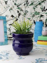 Buy Vareesha Navy Blue Ceramic Planter