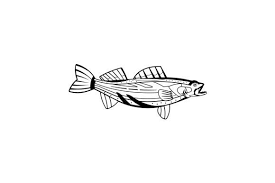 Realistic Walleye Fish Svg Cut File By