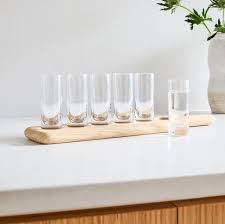 Paddle Shot Glasses Set West Elm