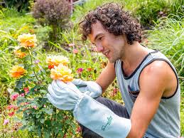 The Best Gardening Gloves You Can Buy