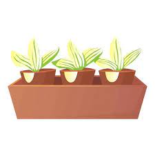 Potted Plan Stock Photos Royalty Free