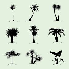 Flat Icon With Nine Tropical Palms
