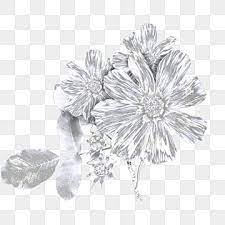 Silver Flower Png Transpa Images