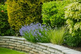 Planting Design Ortus Design