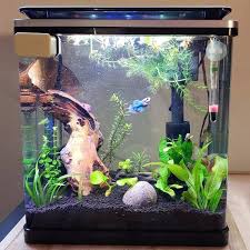 Transpa Glass Fish Aquarium