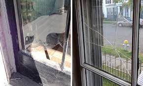 Broken Window Panes With Salvaged Glass