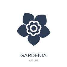 Gardenia Icon Trendy Flat Vector