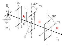 polarization