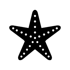 Starfish Silhouette Transpa