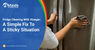 Fridge Cleaning With Vinegar A Simple