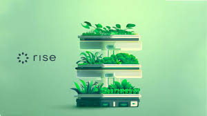 Iot Based Hydroponics System Helps Grow