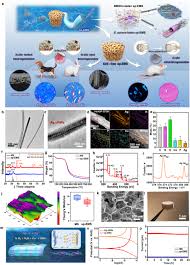 Bacteria Infected Bone Regeneration