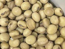 soybean grading issues for export