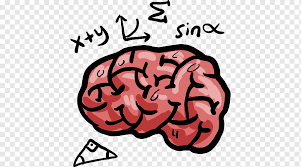 Human Brain Png