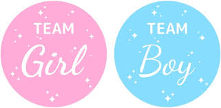 Team Girl For Gender Reveal Party