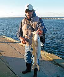 south s docks and piers the fisherman