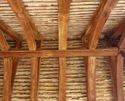 a guide on dry rot repair homes for