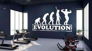 Gym Evolution Wall Decal Gym Wall Decor