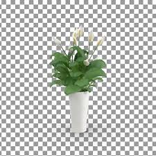 Flower Vase Png Images Free