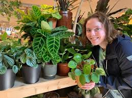 10 Easy Plants For Students To Grow