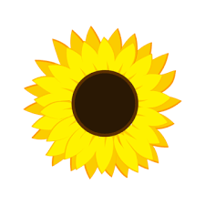 Realistic Sunflowers Clipart Images