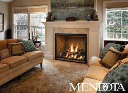 Mendota Fireplaces Transitional